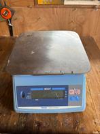 Weegschaal 20 kg, Ophalen, Zo goed als nieuw, Personenweegschaal