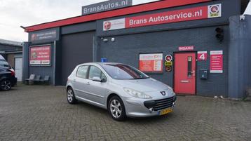 Peugeot 307 1.6-16V XT Automaat beschikbaar voor biedingen