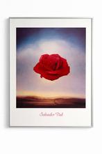 ️3 ingelijste grote Salvador Dalí posters (80x60 cm), Ophalen of Verzenden