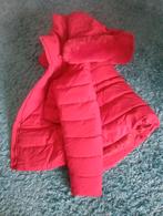 Rode jas, Verzenden, Maat 42/44 (L), Jasje, Rood