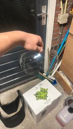 Boxer v8 vizier helder, Ophalen, Tweedehands, Systeemhelm, Overige merken