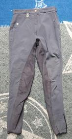 Rijbroek Pikeur Maat 38, Dieren en Toebehoren, Dressuur, Zo goed als nieuw, Dames, Onderkleding