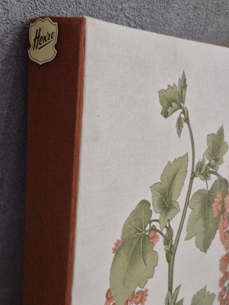 Fotoalbum Henzo super maxi botanisch 40 bruine blz 37x45cm, Ophalen of Verzenden, Zo goed als nieuw, Fotoalbum