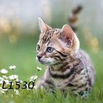 Servetten decoupage/bullet journal * kat L1530, Verzenden, Nieuw, Materiaal