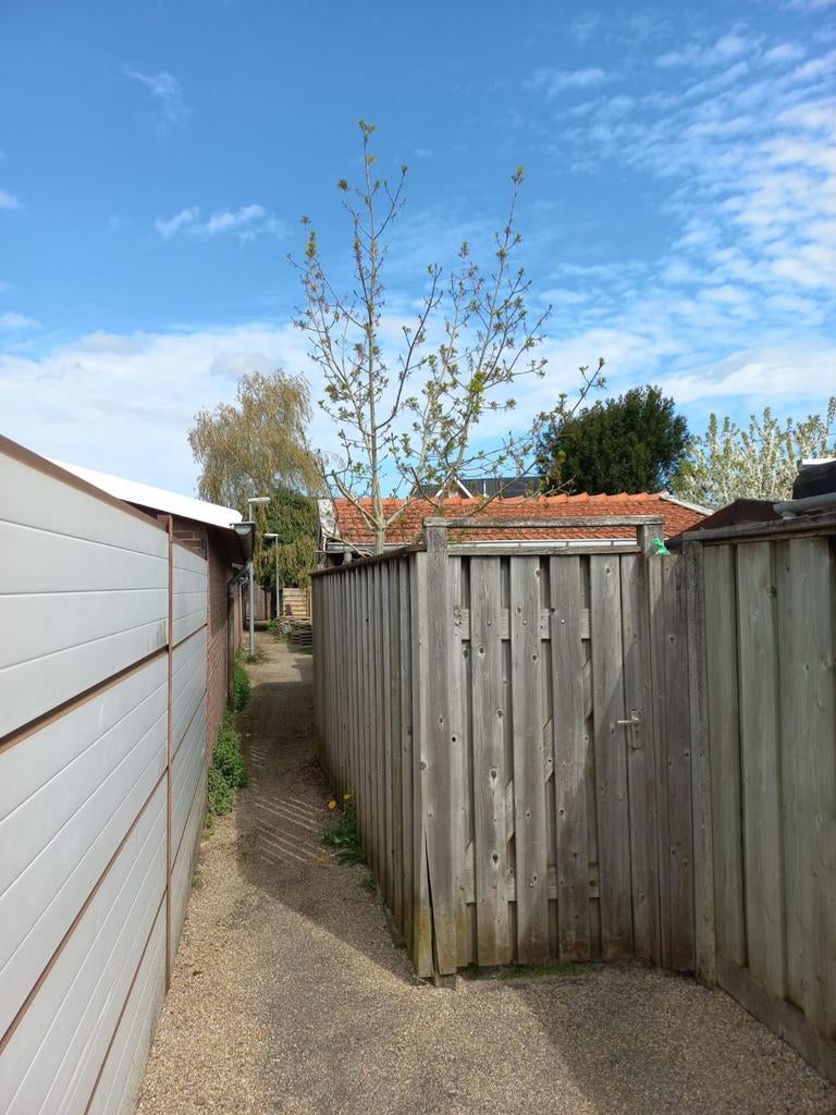 Dakpannen, Tuin en Terras, Ophalen, Hout, Minder dan 3 meter, 1 tot 2 meter