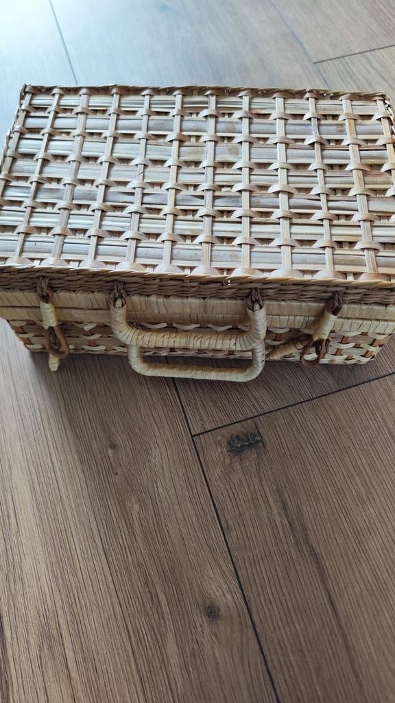 Vintage rotan rieten mand / koffer, Huis en Inrichting, Overige materialen, Minder dan 50 cm, Gebruikt, Minder dan 50 cm