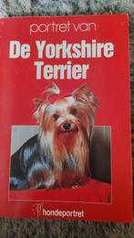 Portret van De Yorkshire Terrier - Hond, Ophalen of Verzenden
