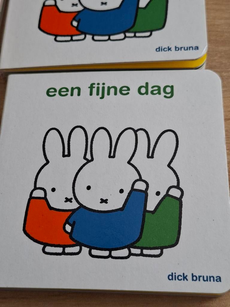 Mooie Nijntje boekjes Een fijne dag, Boeken, Kinderboeken | Baby's en Peuters, Ophalen of Verzenden, Zo goed als nieuw, Dick Bruna