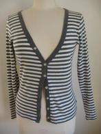 VERO MODA vest grijs wit streep maat M, Kleding | Dames, Truien en Vesten, Maat 38/40 (M), Vero Moda, Ophalen of Verzenden, Zo goed als nieuw