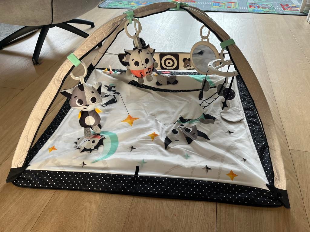 Tiny Love speelmat babygym, Kinderen en Baby's, Speelgoed | Babyspeelgoed, Ophalen, Zo goed als nieuw, Babygym