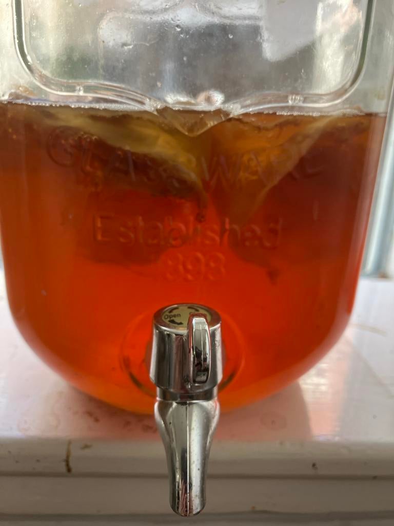 Kombucha scobi zwam, Diversen, Ophalen of Verzenden