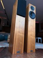 Audio Physic Classic 5 - Mooie staat, kleine plekjes, Gebruikt, 120 watt of meer, Front, Rear of Stereo speakers, Ophalen