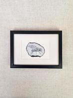 Ets vlieg, in passe partout met zwart lijstje 10x15 cm, Minder dan 50 cm, Oorspronkelijke maker, Nieuw, Ophalen of Verzenden