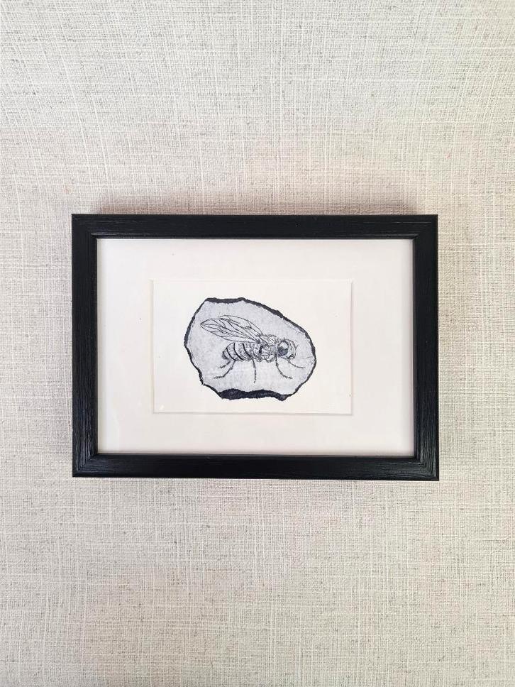 Ets vlieg, in passe partout met zwart lijstje 10x15 cm, Huis en Inrichting, Woonaccessoires | Schilderijen, Tekeningen en Foto's
