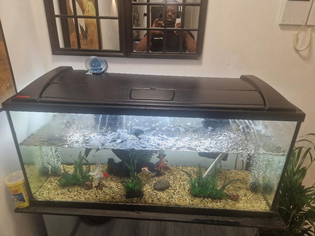 Leeg grote Aquarium  goed kwaliteit, Dieren en Toebehoren, Ophalen, Zo goed als nieuw