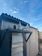 Een koppel, Dieren en Toebehoren