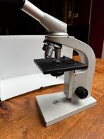 Will Microscoop - Biologische microscoop, Audio, Tv en Foto, Optische apparatuur | Microscopen, Ophalen of Verzenden, Zo goed als nieuw