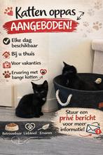 Aangeboden katten oppas, Ophalen