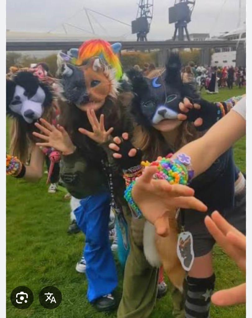 Therian meet Nederland!, Hobby en Vrije tijd, Ophalen of Verzenden, Zo goed als nieuw, Accessoires