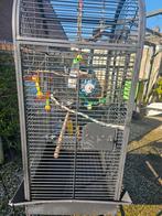 Papsgaaienkooi, Dieren en Toebehoren, Ophalen, Gebruikt, Metaal, Vogelkooi