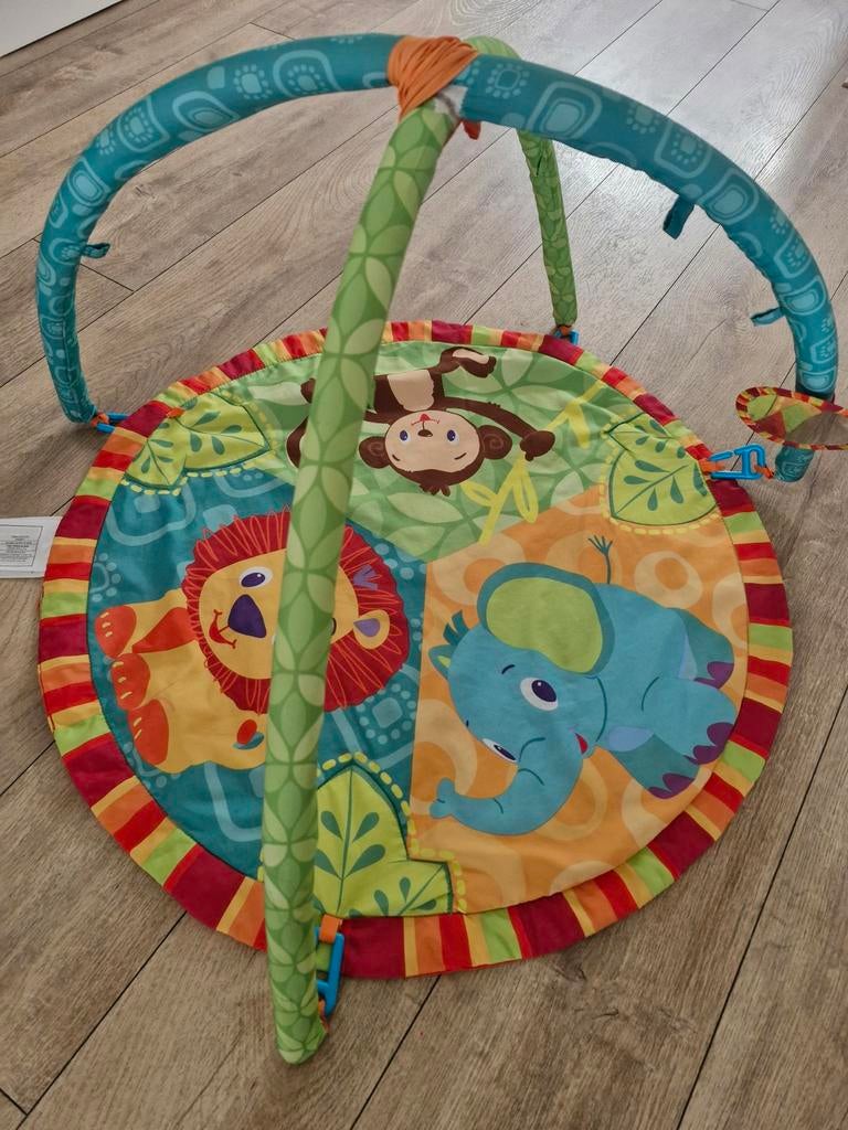 Babygym, Ophalen, Gebruikt, Babygym