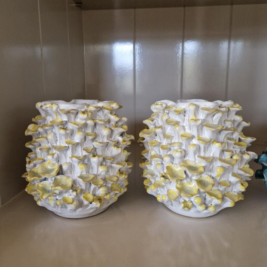 Des pots vaasjes, Ophalen, Zo goed als nieuw, Jongetje of Meisje, Zwem-accessoire