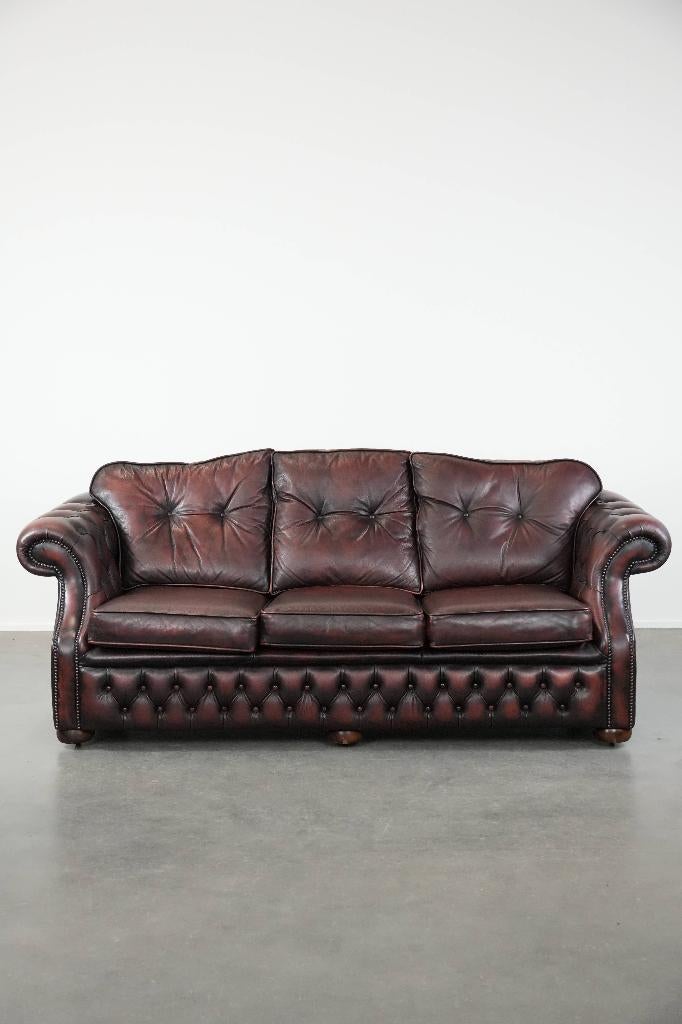 Mooie rode chesterfield bank op wieltjes in Engelse stijl, Ophalen, ., Tweepersoons, Rechte bank