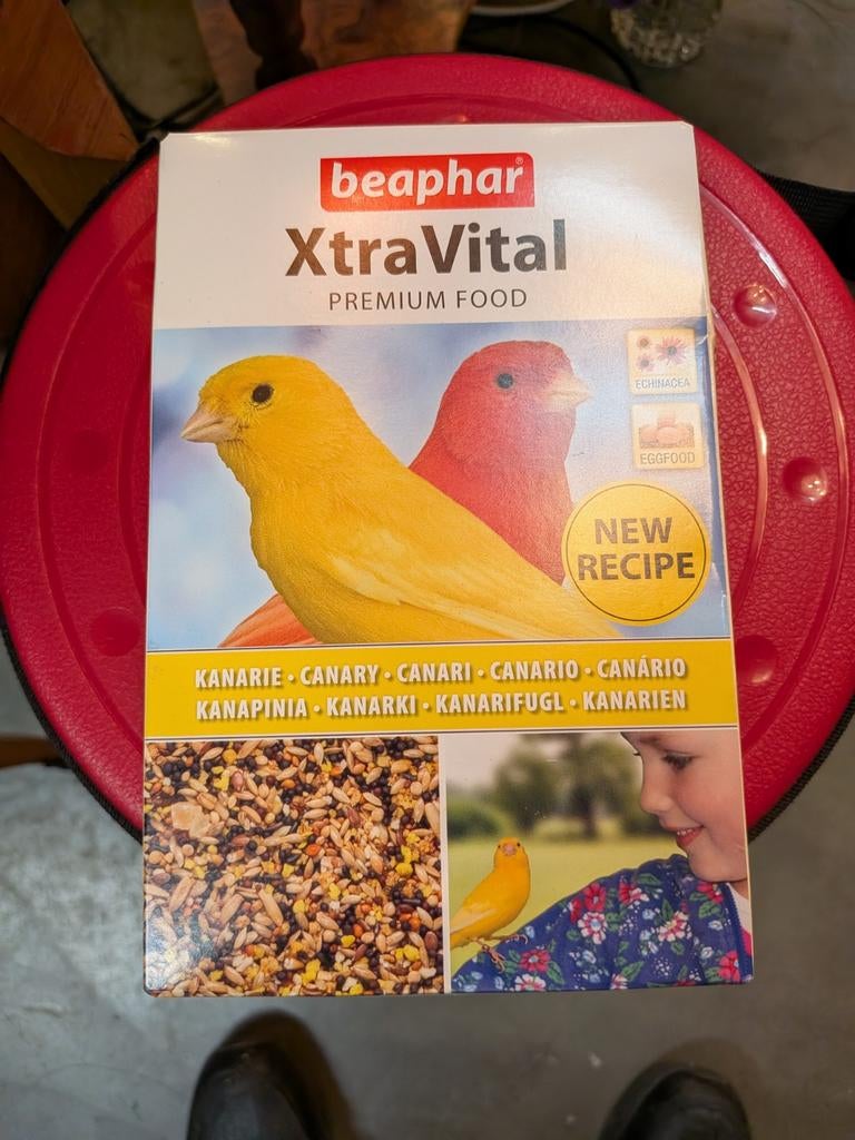 Kanarie zaad, Dieren en Toebehoren, Vogels | Kanaries, Geslacht onbekend, Kleurkanarie