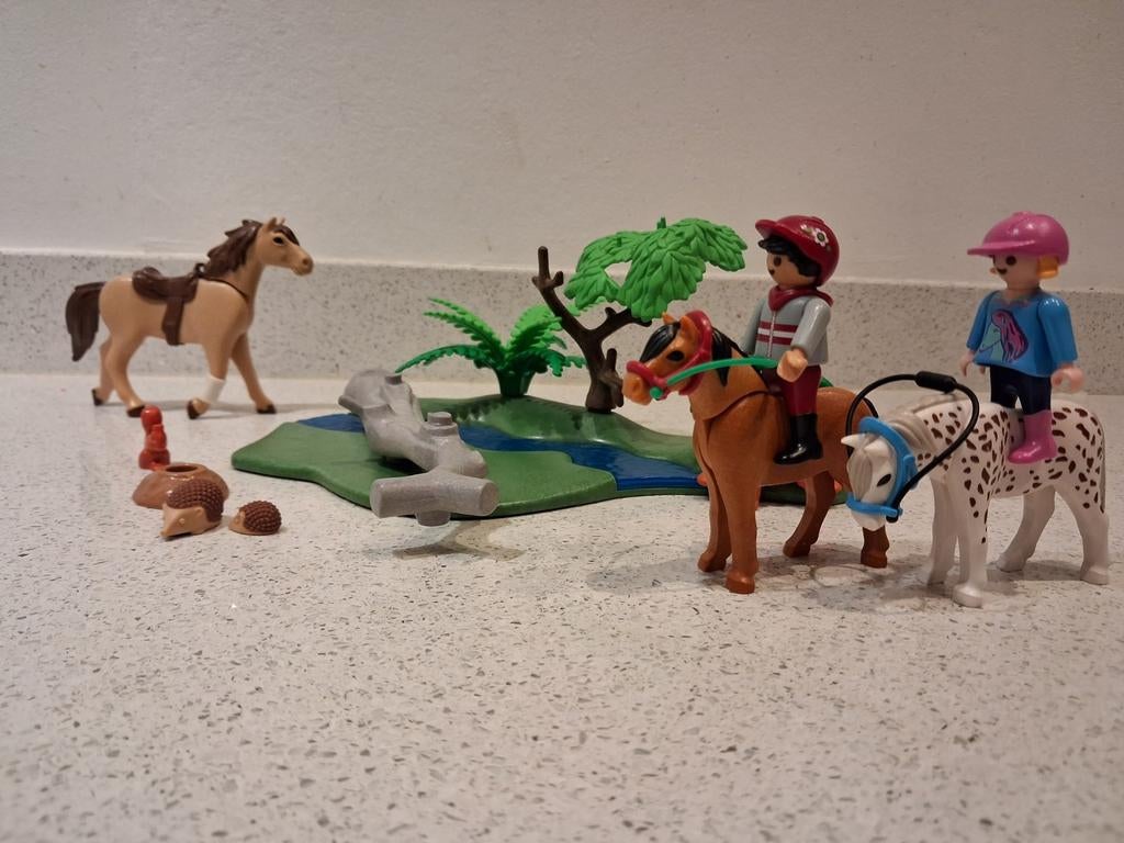 Playmobil 5685 Paardrijset, Ophalen of Verzenden, Gebruikt, Complete set
