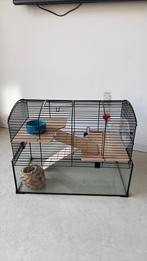 Mooie hamsterkooi, Dieren en Toebehoren, Knaagdieren en Konijnen | Hokken en Kooien, Kooi, Minder dan 75 cm, Zo goed als nieuw