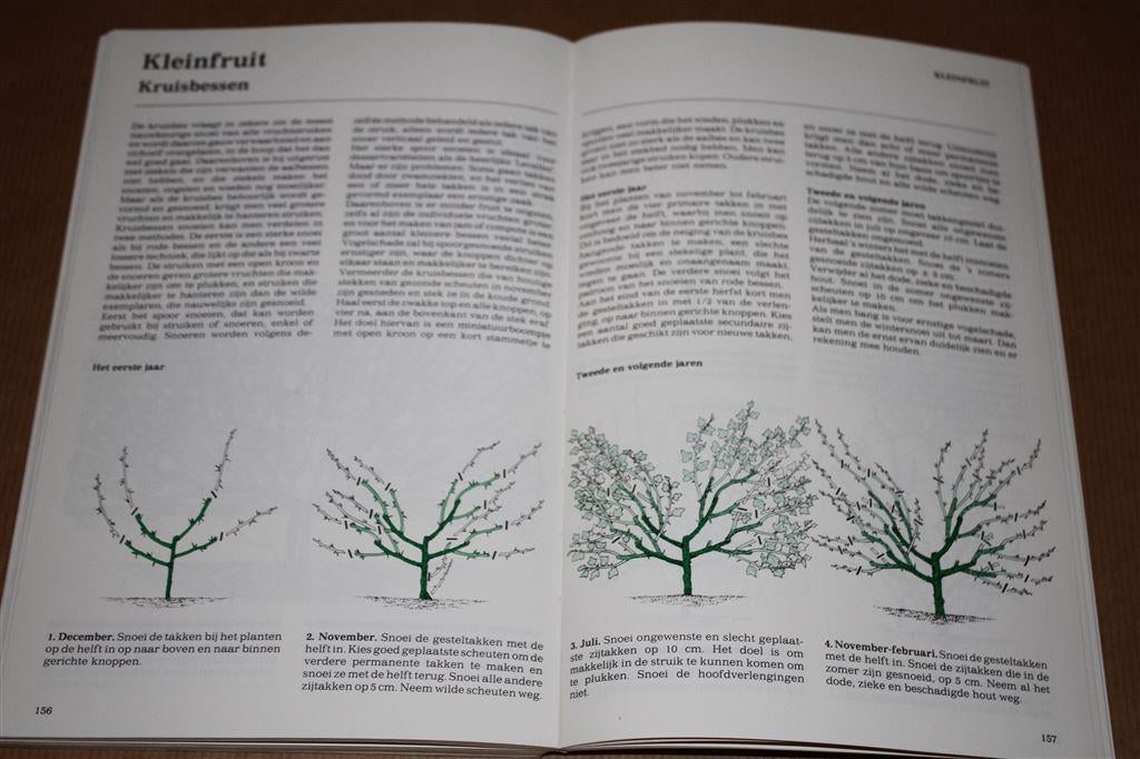 Groenboekerij: Stap-voor-stap-gids. Snoeien., Ophalen of Verzenden, Gelezen