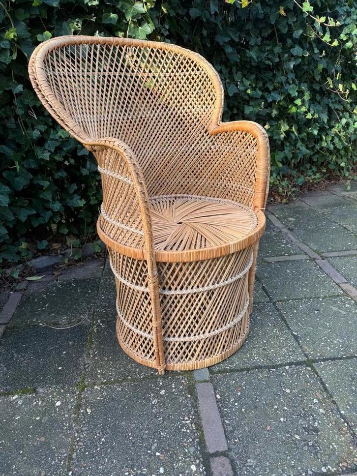 Vintage Rotan Pauwenstoel - Middelgroot Formaat, Huis en Inrichting, Stoelen, Gebruikt, Eén, Riet of Rotan, Bruin, Ophalen of Verzenden