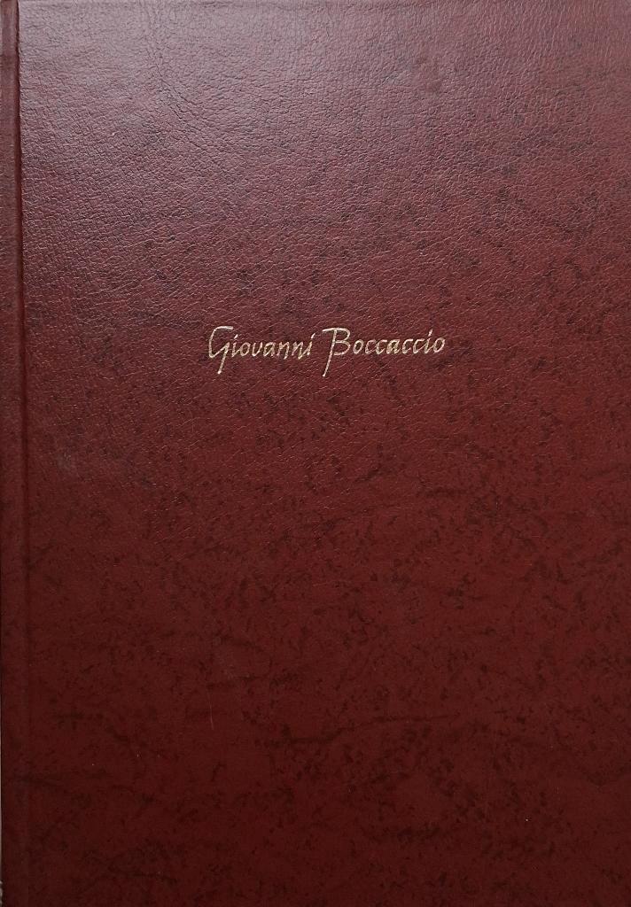 Giovanni Boccaccio - Decamerone, Boeken, Literatuur, Zo goed als nieuw, Europa overig, Ophalen of Verzenden