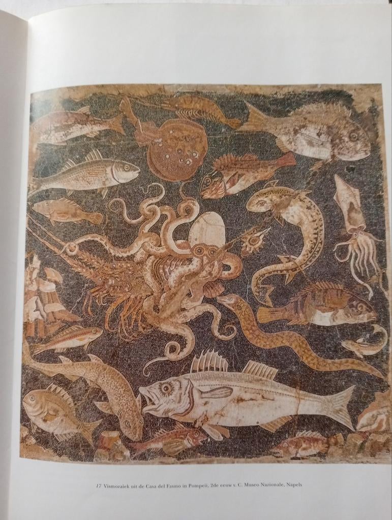 Schoner Wohnen in Pompeii Mendini Max Beckmann, Boeken, Ophalen of Verzenden, Gelezen, Overige onderwerpen