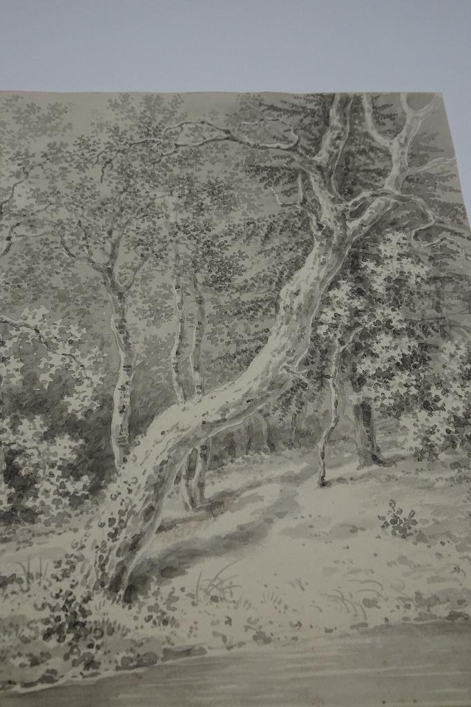 aquarel bomen in bos aan water, Honig 1820 omg. Favenraad, Verzenden