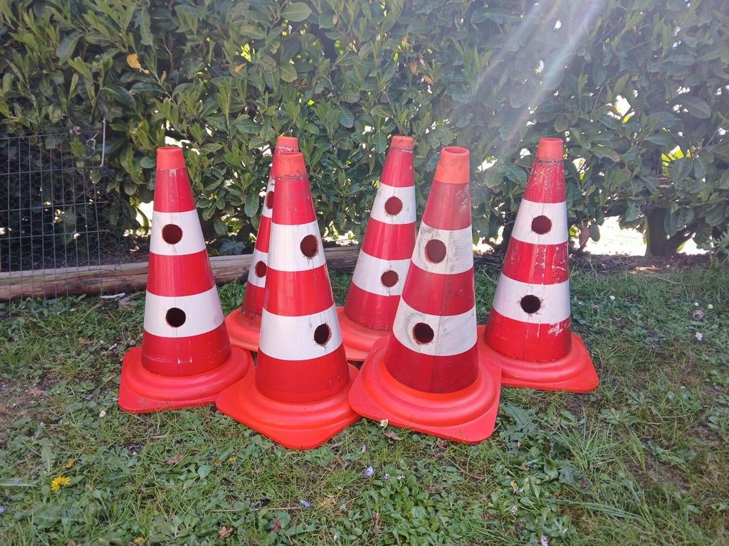 Set van 6 pionnen voor hobby horse of spel, Ophalen