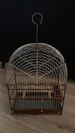 *Nieuwe Surinaamse kooi* 21 draads Koningshout, Dieren en Toebehoren, Ophalen, Nieuw, Hout, Vogelkooi