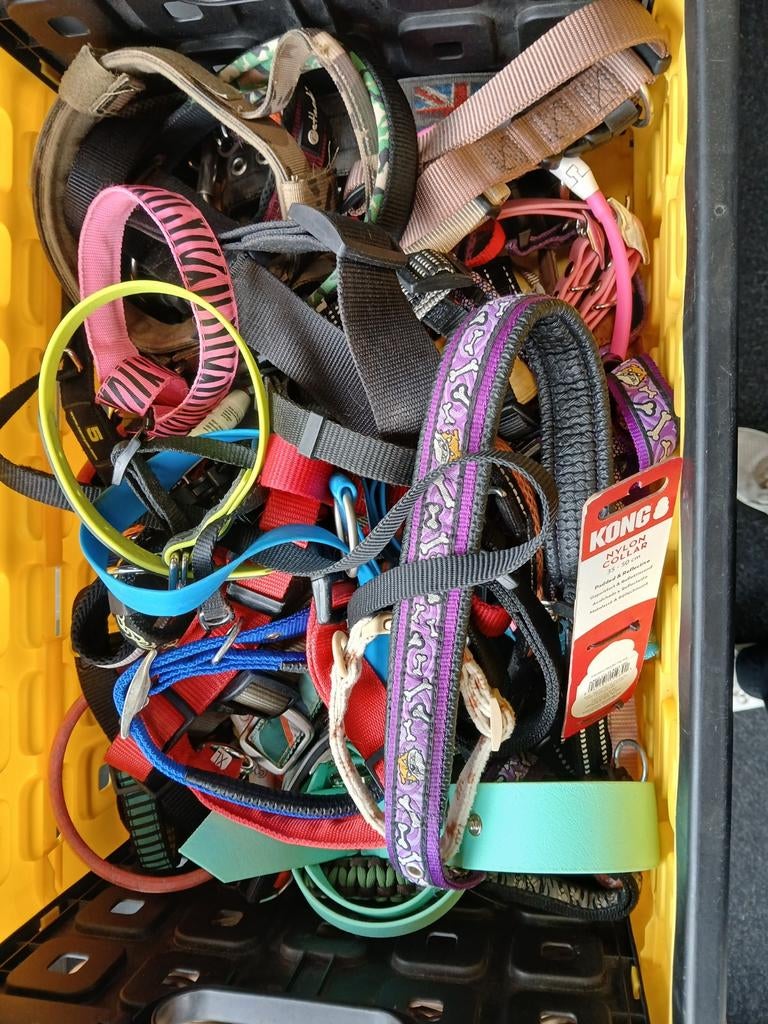 Honden halsbanden, Ophalen, Gebruikt