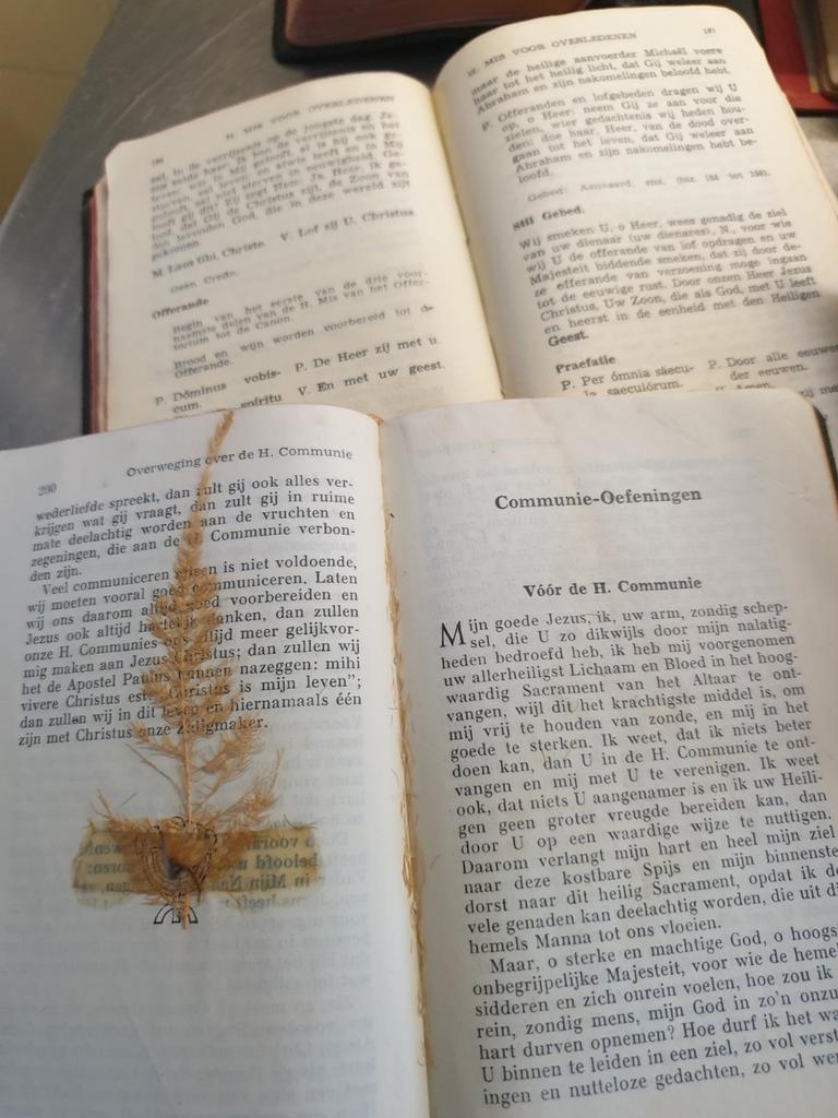 Oude kerkboekjes, Antiek en Kunst, Antiek | Boeken en Bijbels, Ophalen of Verzenden