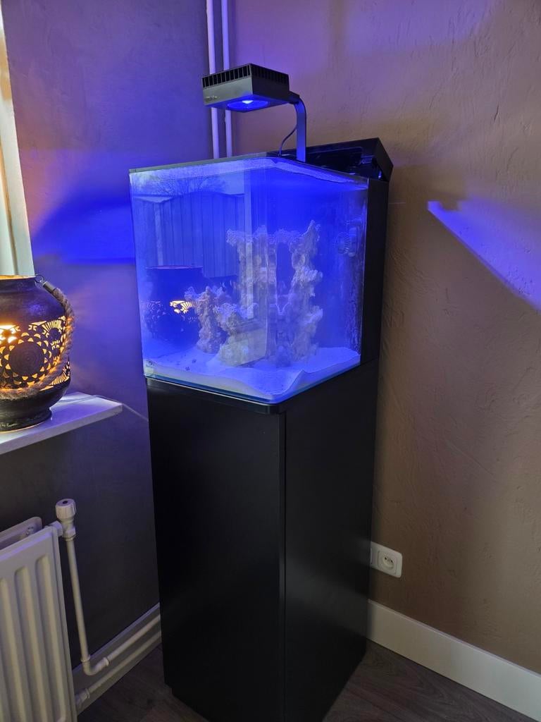 Blue Marine Reef 60, Ophalen, Verwarming, Leeg aquarium, Blue Marine