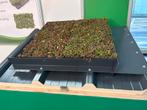 TE KOOP:Sedum cassetes voor daken,  Plaatsen van sedumdaken., Tuinonderhoud of Snoeiwerk