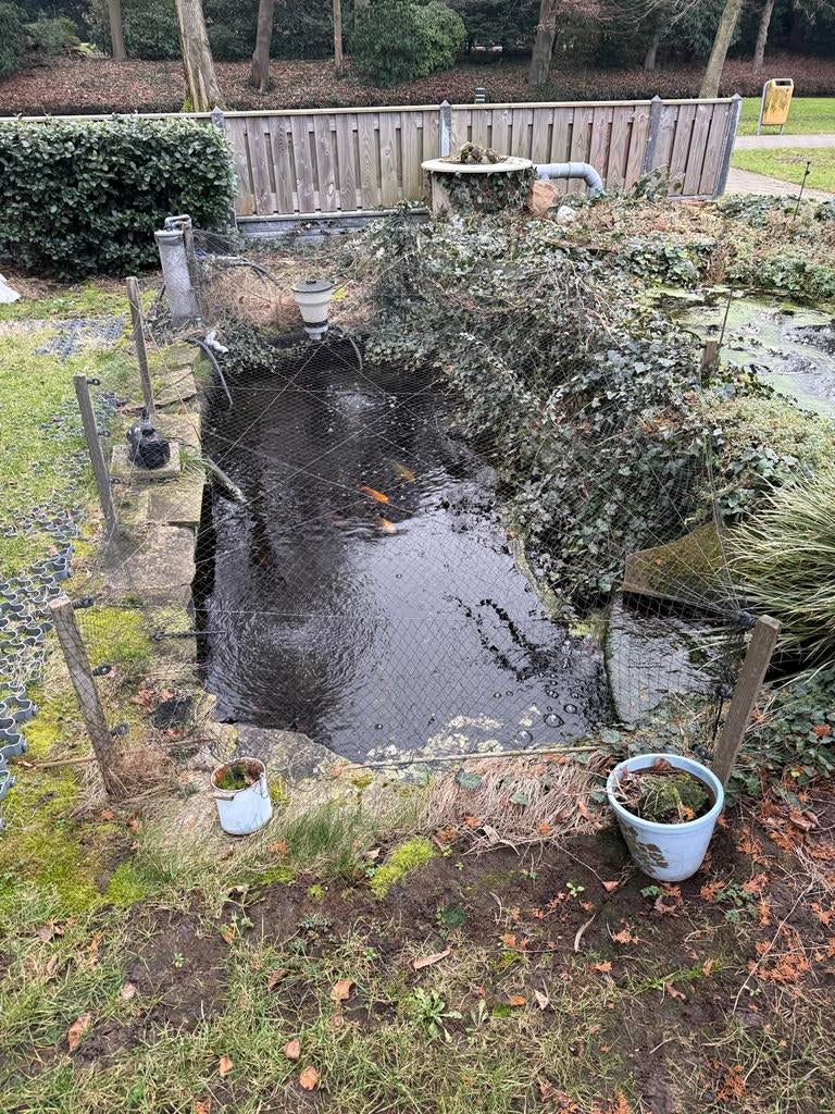 Vijver met Koi Karpers en complete filterinstallatie, Ophalen, Gebruikt
