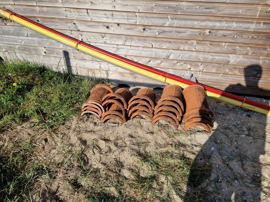 Rode nokvorsten - 21 stuks, Ophalen