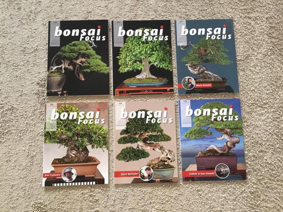 Bonsai focus losse nummers en jaargangen t/m 2025, Ophalen of Verzenden, Zo goed als nieuw