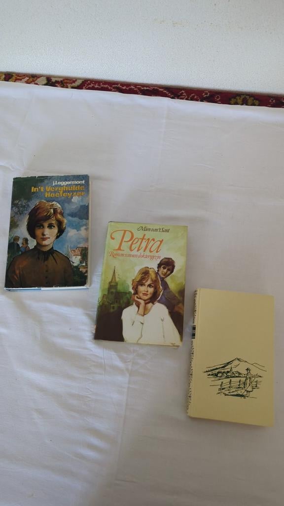 3 Romans, Ophalen of Verzenden, Gelezen