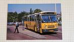 Foto BUS ZO ZuidOoster Gennep 9559, Verzenden, Gebruikt, Bus of Metro, Overige typen