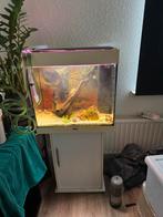 juwel lidi 120, Ophalen of Verzenden, Zo goed als nieuw, Leeg aquarium