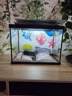 Vis aquarium maten H.32 cm , B.43 cm  , D.26 cm p, Ophalen, Zo goed als nieuw, Leeg aquarium