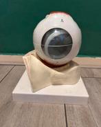 anatomisch oog, Ophalen, Zo goed als nieuw