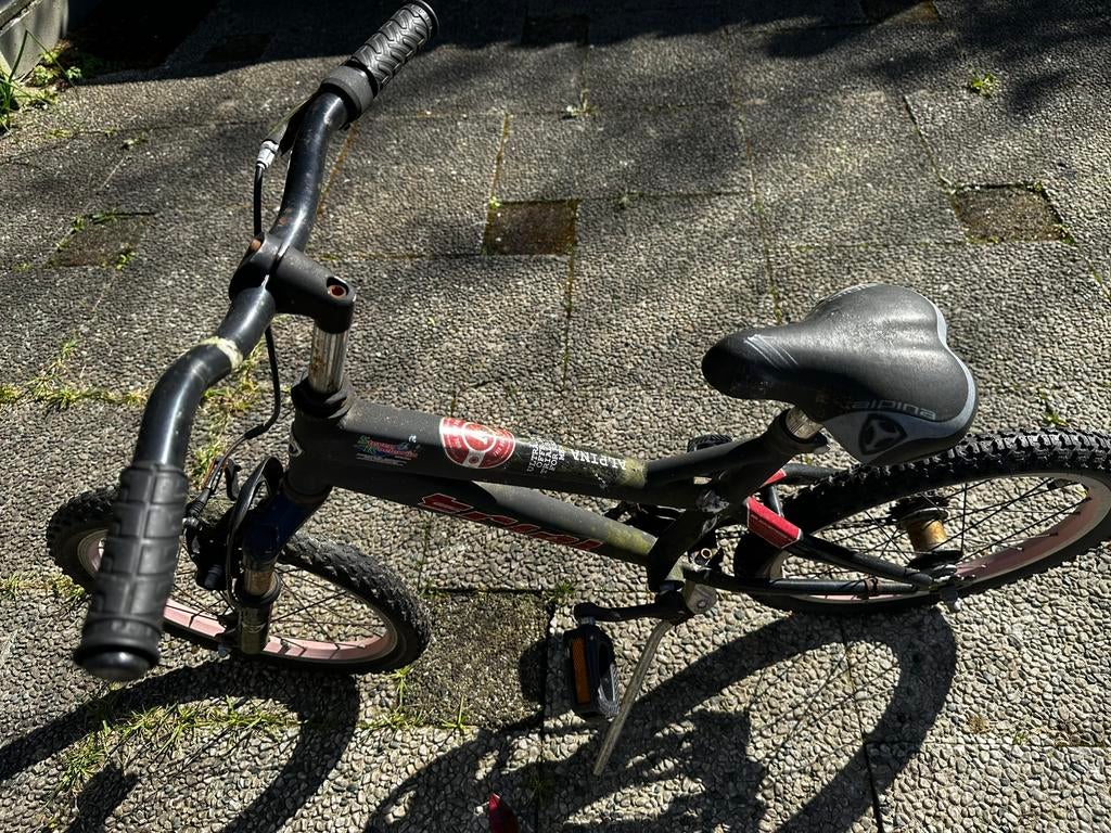 Alpina kinder fiets, Ophalen, Zo goed als nieuw, Staal